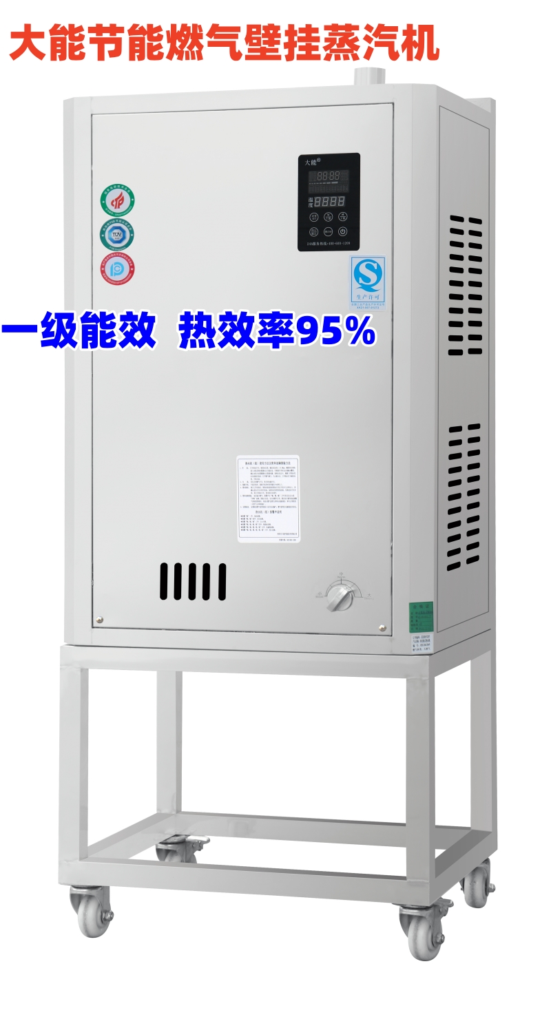 问鼎娱乐平台app下载燃气节能壁挂式蒸汽机